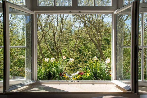    Ein geöffnetes Fenster mit Blumenkasten und Blick auf grüne Bäume im Hotel Prinzregent.
