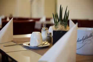 Ein gedeckter Frühstückstisch mit Tasse auf Untertasse, Besteck, gefalteter Serviette, kleinem Pflanztopf sowie Salz‑ und Pfefferstreuer im Hotel Prinzregent.